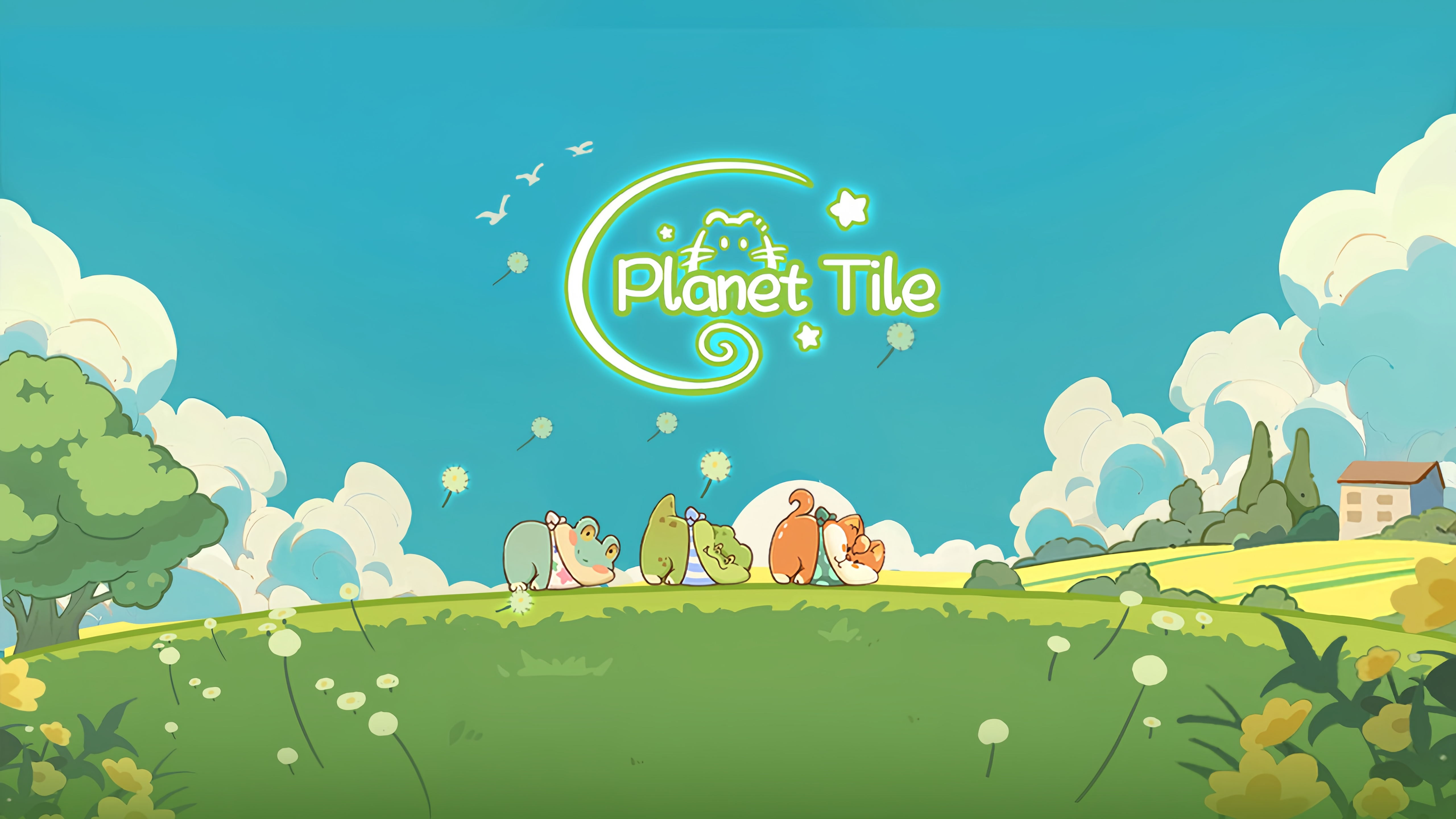 森林风景，阳光透过树叶形成光斑